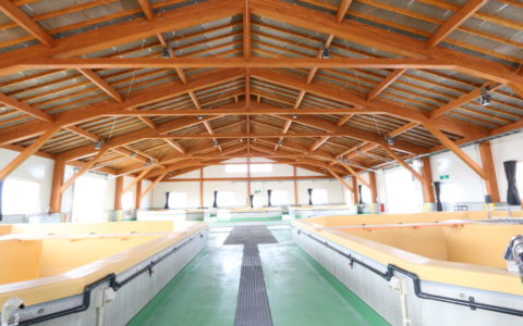 水産種苗研究所　ヒラメ親魚棟・魚類棟